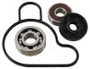 Hot Rods 2009 KTM 65 XC 65cc Water Pump Kit (WPK0057)