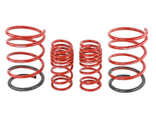 Cargar imagen en el visor de la galería, Skunk2 01-05 Honda Civic Lowering Springs (2.25in - 2.00in.) (Set of 4)