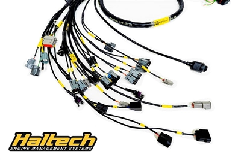 Cableado de motor Rywire Honda K-Series (con Haltech Elite 1500+) con OBD2 Alt/EV14 Inyección/AEM IAT/MAP (se requiere adaptador)