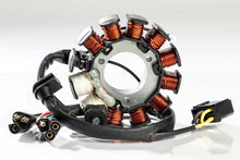 Cargar imagen en el visor de la galería, Ricks Motorsport OEM Style Polaris Stator Snow