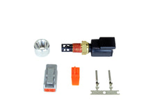 Cargar imagen en el visor de la galería, Kit de sensor de temperatura de aire AEM EV de 1/8 pulg. NPT