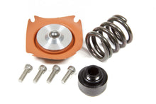 Load image into Gallery viewer, Aeromotive Fuel System Regulator Rebuild Kit - 13305 35-75psi .313 Seat