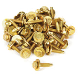 Body Bolt 1-1/8in 50pk Gold