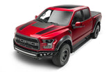 Serie inteligente PowerStep 15-20 de AMP Research para Ford F150