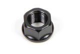 Auto Racing Products Hex Nut - 7/16-20 (1)