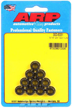 Cargar imagen en el visor de la galería, Auto Racing Products 5/16-24 12pt. Nuts (10)