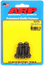 Load image into Gallery viewer, Auto Racing Products Bolt Kit - 12pt. (5) 1/4-20 x .750