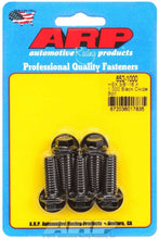 Cargar imagen en el visor de la galería, Auto Racing Products Bolt Kit - 6pt. (5) 3/8-16 x 1.000