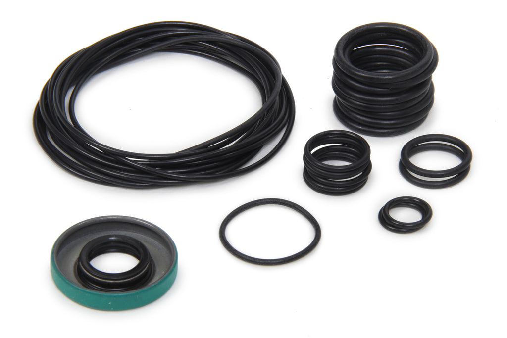 Barnes Systems O-Ring Kit For 9017-5B 1.0 Pump