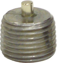 Cargar imagen en el visor de la galería, Brinn Transmission Magnetic Plug