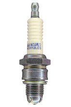 Cargar imagen en el visor de la galería, Brisk Spark Plug Premium Racing