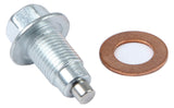 Champ Pans Drain Plug and Washer