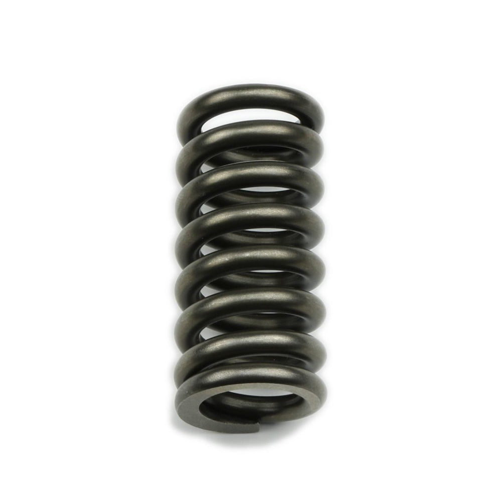 Coan Edgineering Reverse Servo Spring