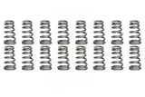 Conical Valve Springs 1.020/1.290