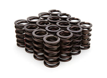 Cargar imagen en el visor de la galería, COMP Cams 1.269 Dia HP Valve Spring Set