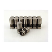 Cargar imagen en el visor de la galería, Crower Cams Chevy V8 Hyd Lifter Set Cam-Saver Series