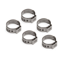 Cargar imagen en el visor de la galería, Earl&#39;s Performance 3/8 Hose Clamp For Vapor Guard Hose 5pk