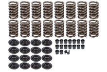 Cargar imagen en el visor de la galería, Sure Seat Valve Springs Kit for Small Block Chevy (SBC) - 16 Pieces