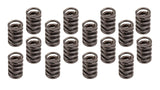 1.540 Valve Spring Set 16