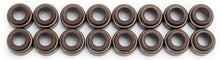 Load image into Gallery viewer, Edelbrock Valve Seals - .530in 11/32in (16)