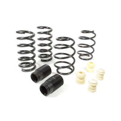 Eibach Springs Pro Kit 2015-21 Ford Mustang