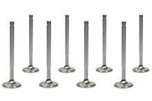 Cargar imagen en el visor de la galería, Ferrea SBC C/P 1.600 Exhaust Valves 11/32 5.300 OAL