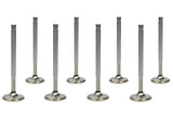 Ferrea SBC C/P 1.600 Exhaust Valves 11/32 5.300 OAL