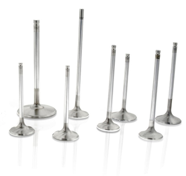 Ferrea SBC C/6 1.600 Exhaust Valves 5/16 5.060 OAL