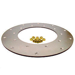 Fidanza Performance Flywheel Insert Plate