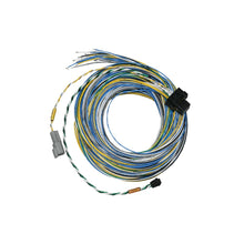 Cargar imagen en el visor de la galería, FuelTechFT550 B Harness 10ft