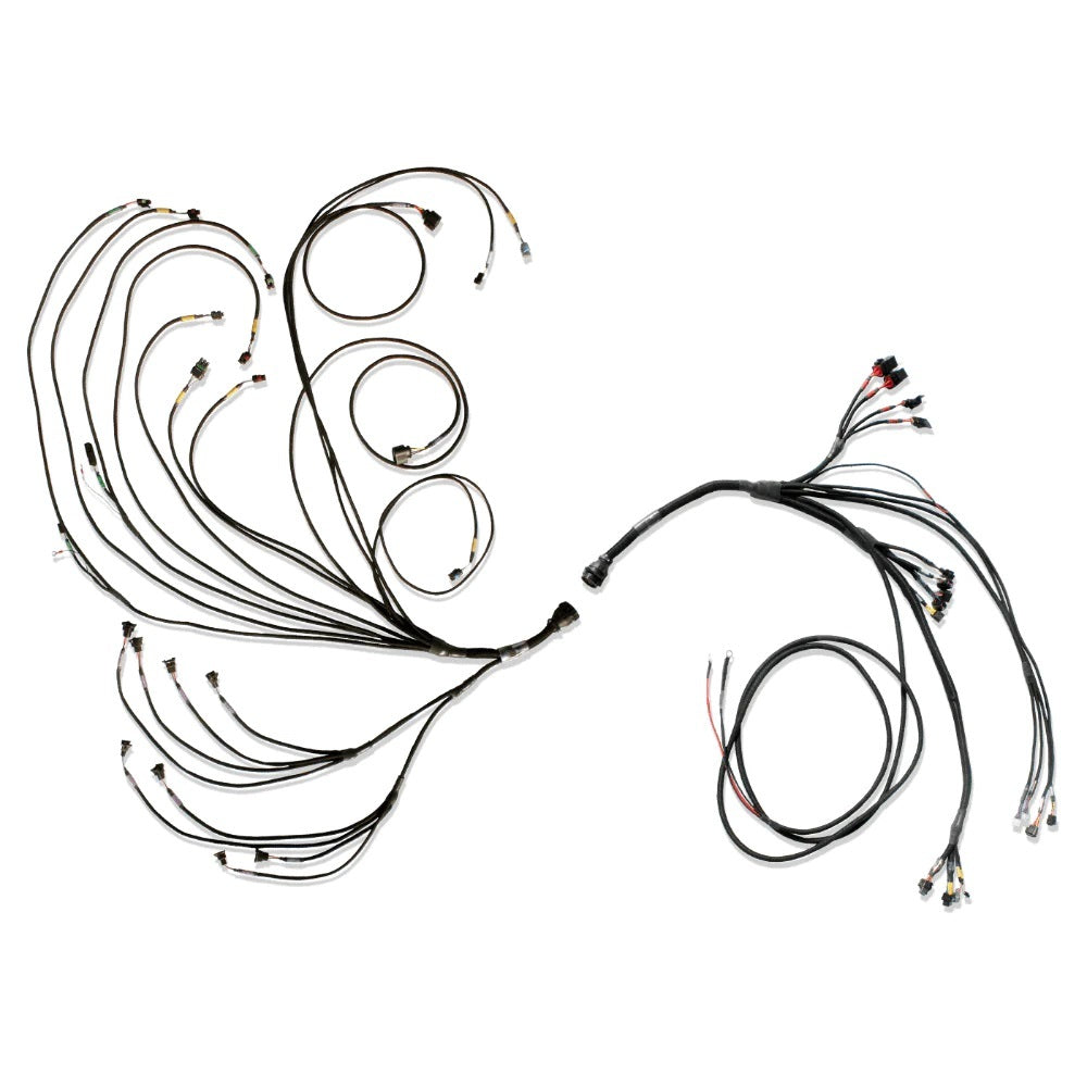 FuelTechPRO600 V8 Complete Wiring Harness