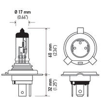 Cargar imagen en el visor de la galería, H4.PT01.jpg