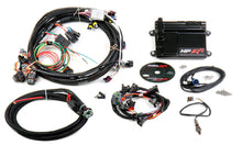 Load image into Gallery viewer, Holley EFI HP ECU &amp; Harness LS1/LS6 NTK