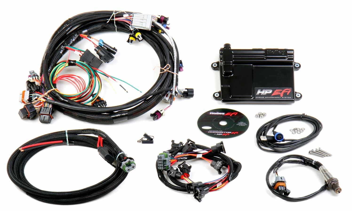 Holley ECU & Wiring Harness LS1