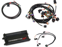 Load image into Gallery viewer, Holley EFI Dominator EFI Kit - GM LS