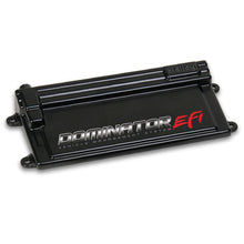 Load image into Gallery viewer, Holley EFI ECU Only Dominator