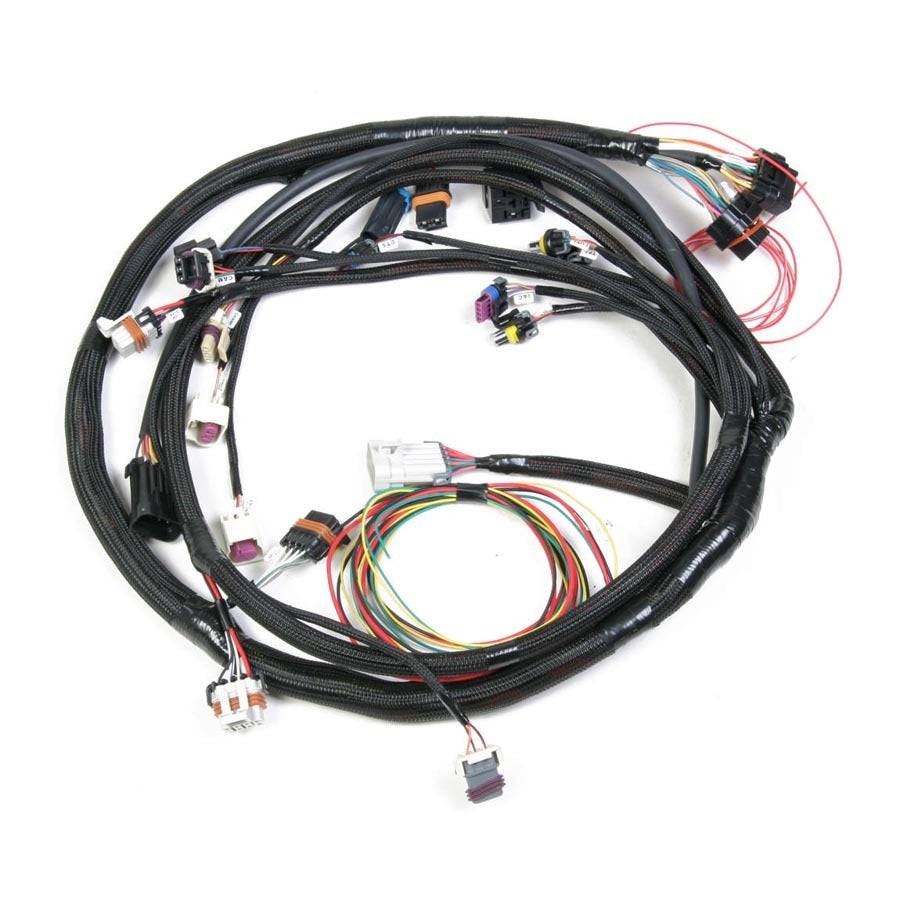 Holley EFI Main Wiring Harness LS2 & LS3