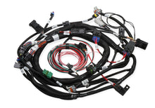 Cargar imagen en el visor de la galería, Ford MPFI Coil On Plug Main Harness