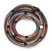 Cargar imagen en el visor de la galería, Flying Lead Main Harness