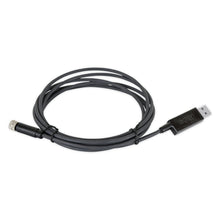 Cargar imagen en el visor de la galería, Cable de comunicación CAN a USB para Holley Sniper 2