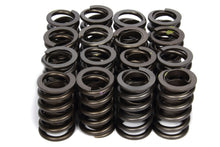 Cargar imagen en el visor de la galería, 1.265 Valve Springs w/ Damper