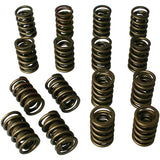 Dual Valve Springs - 1.437