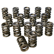 Load image into Gallery viewer, Dual Valve Springs - 1.437