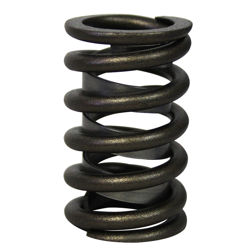 Valve Spring Set with Damper - 16-Pack