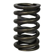 Cargar imagen en el visor de la galería, Valve Spring Set with Damper - 16-Pack