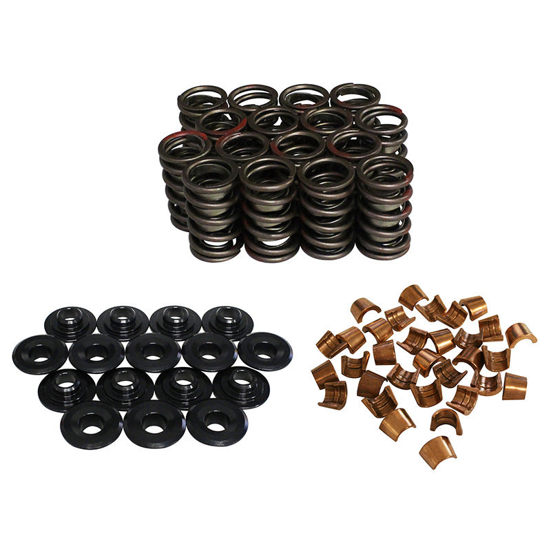 Dual Valve Spring Kit with Damper - 348 lb/in Rate