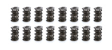 Cargar imagen en el visor de la galería, Iskenderian 1.600 Triple Valve Spring Set (16)