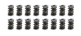 1.600 Triple Valve Spring Set (16)