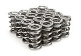 Iskenderian1.660 Triple Valve Springs Tool Room Steel