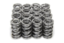 Load image into Gallery viewer, Iskenderian 1.570 Dual Valve Spring Set w/Damper (16pk)